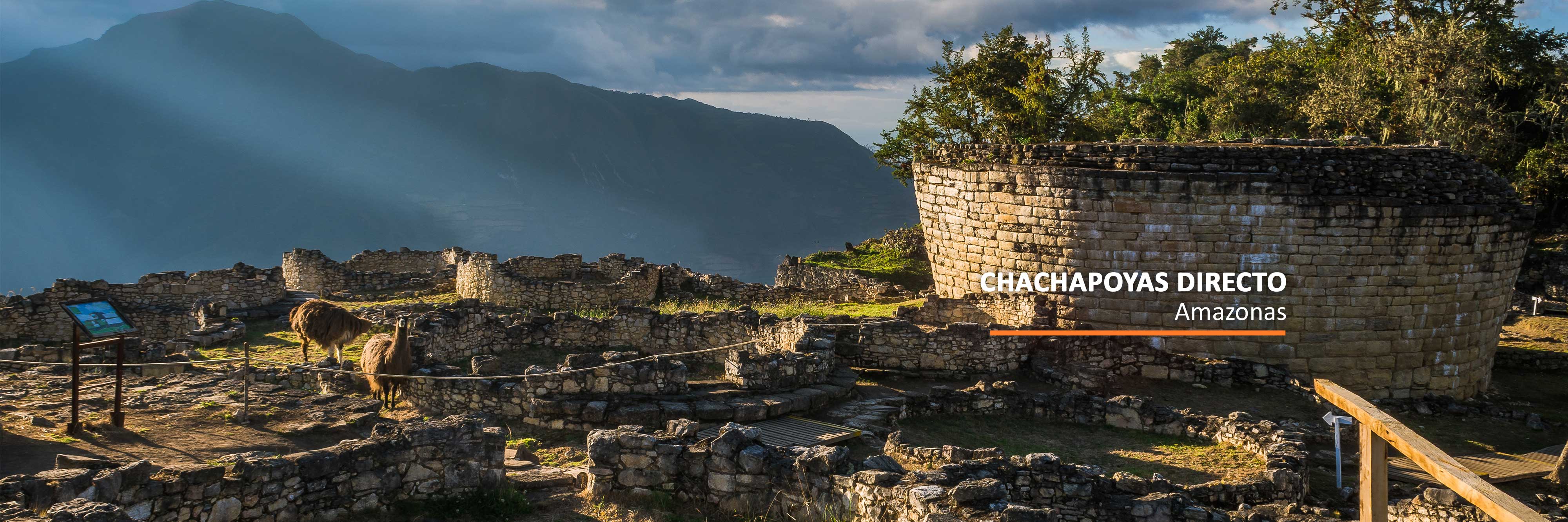 Atsa Airlines | Pasajes aéreos y promociones en vuelos nacionales